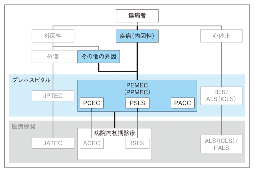 PEMECと他の標準化コースとの関係